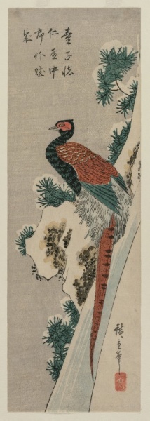 Copper Pheasant by Snowy Waterfall