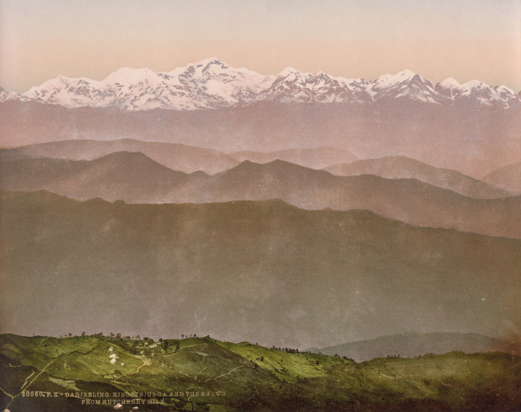 Darjeeling. Kinchinjunga and the Snows from Kutcherry Hill