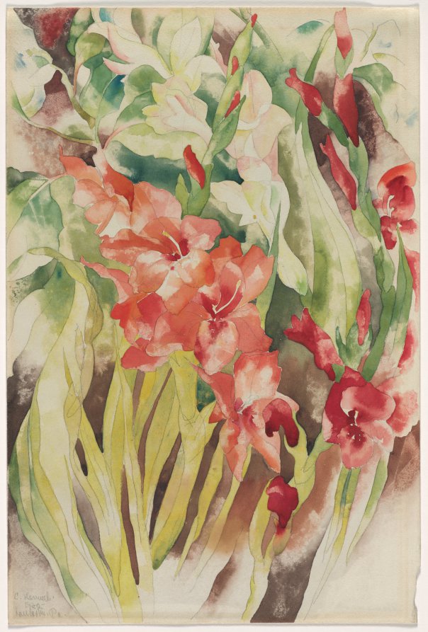 Gladioli, Charles Demuth, 1920