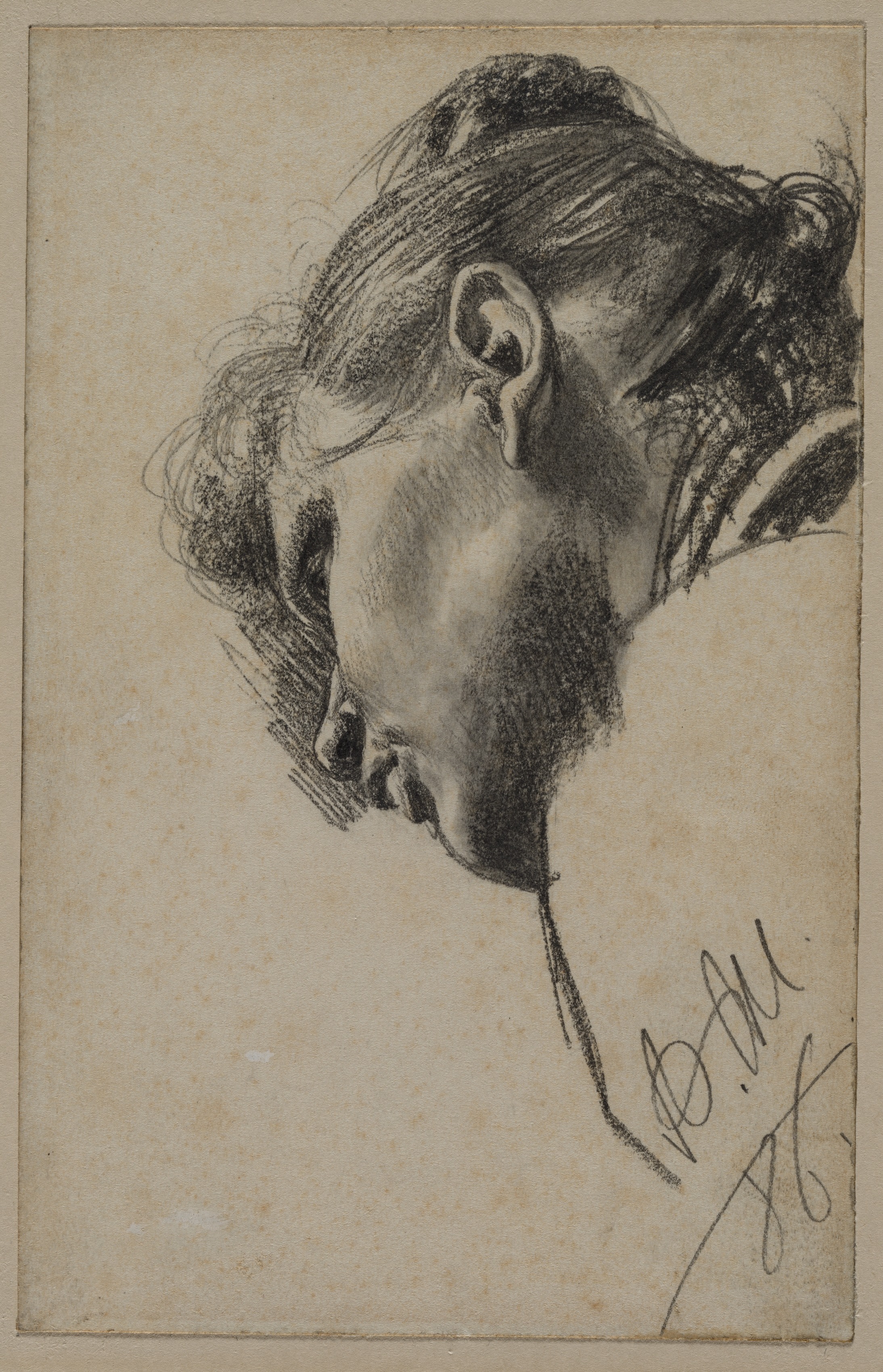 Head of a Young Woman Seen from Below
