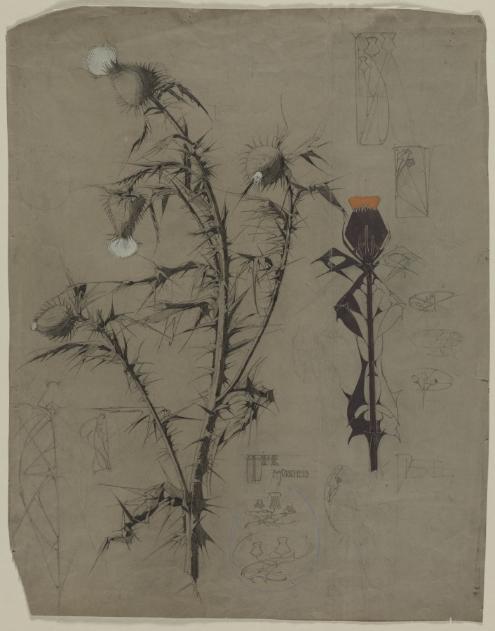 Study of Thistles, August Biehle, Jr., c 1900–1910