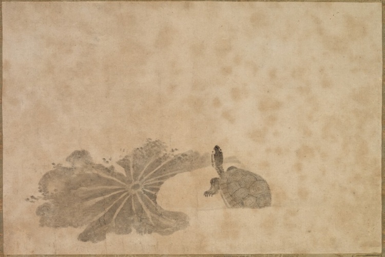 Turtle in a Lotus Pond