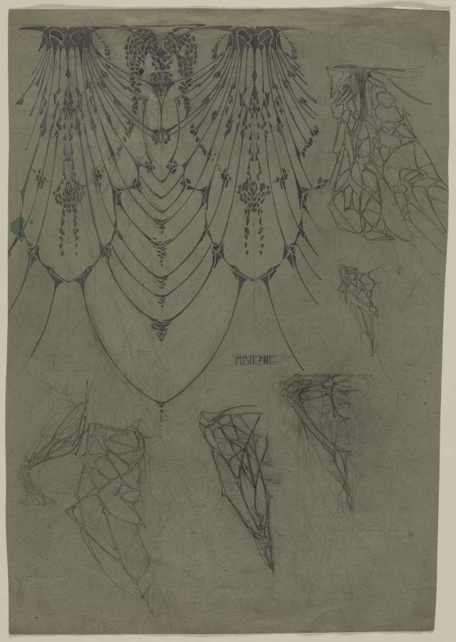 Study of Wings, August Biehle, Jr., 1905