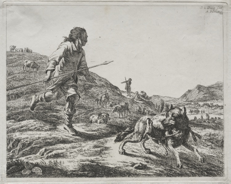 Shepherd Chasing a Wolf