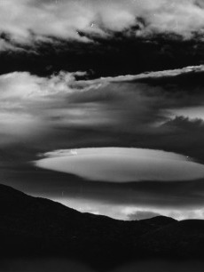 body object series #13 • toothpick suit/chair | Cleveland Museum of Art