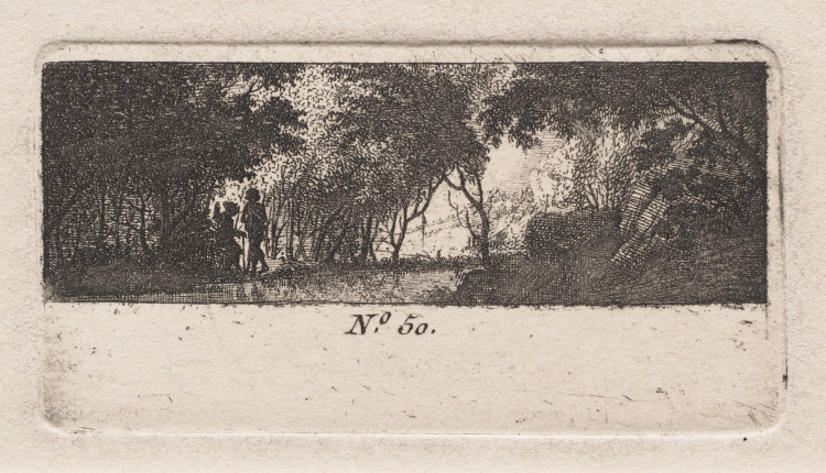 View of a Woods