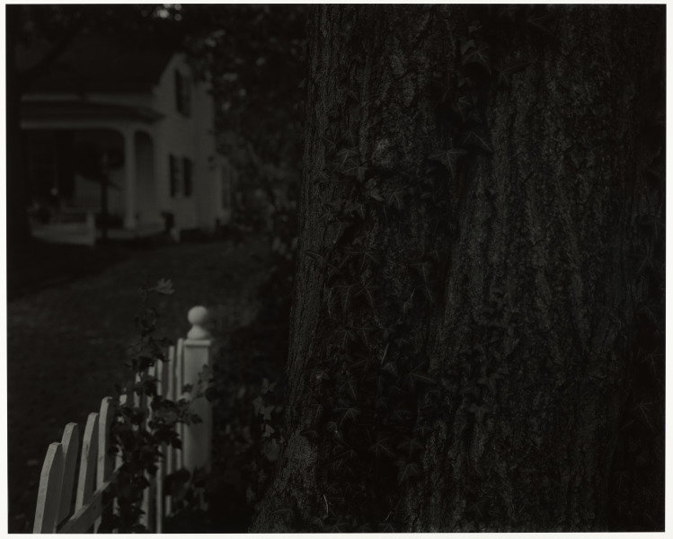 Untitled #5 (Tree Trunk, Picket Fence and House)