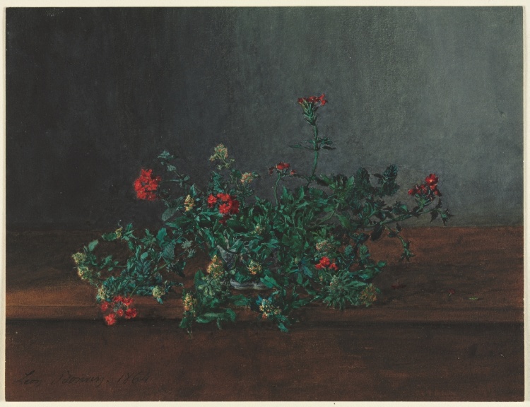 Still Life with Wild Flowers