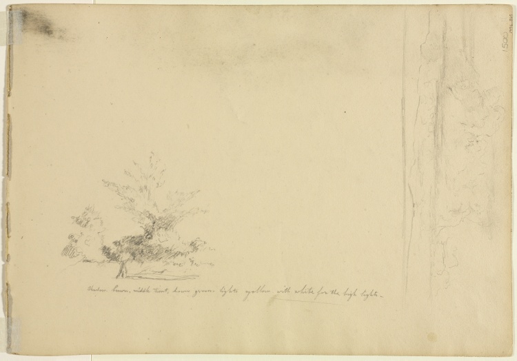 Landscape and Tree Studies (verso)
