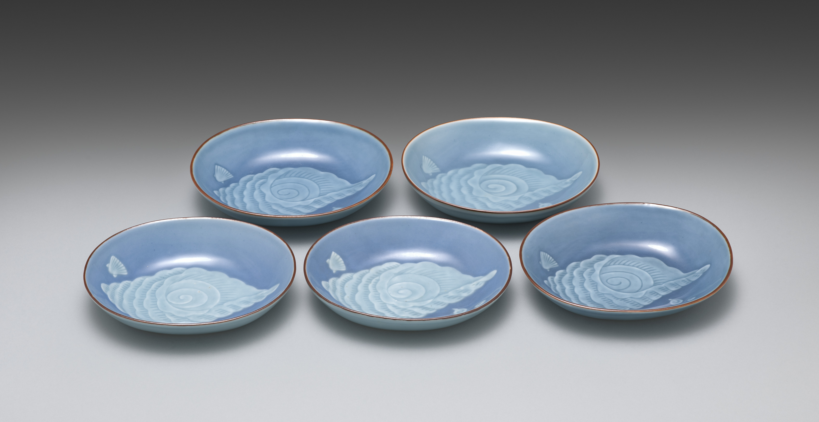 Dishes with Shells