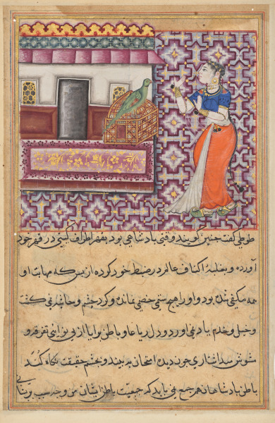 The parrot addresses Khujasta at the beginning of the fiftieth night, from a Tuti-nama (Tales of a Parrot): Fiftieth Night