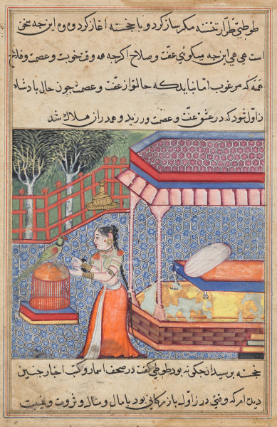 The parrot addresses Khujasta at the beginning of the thirty-sixth night, from a Tuti-nama (Tales of a Parrot)