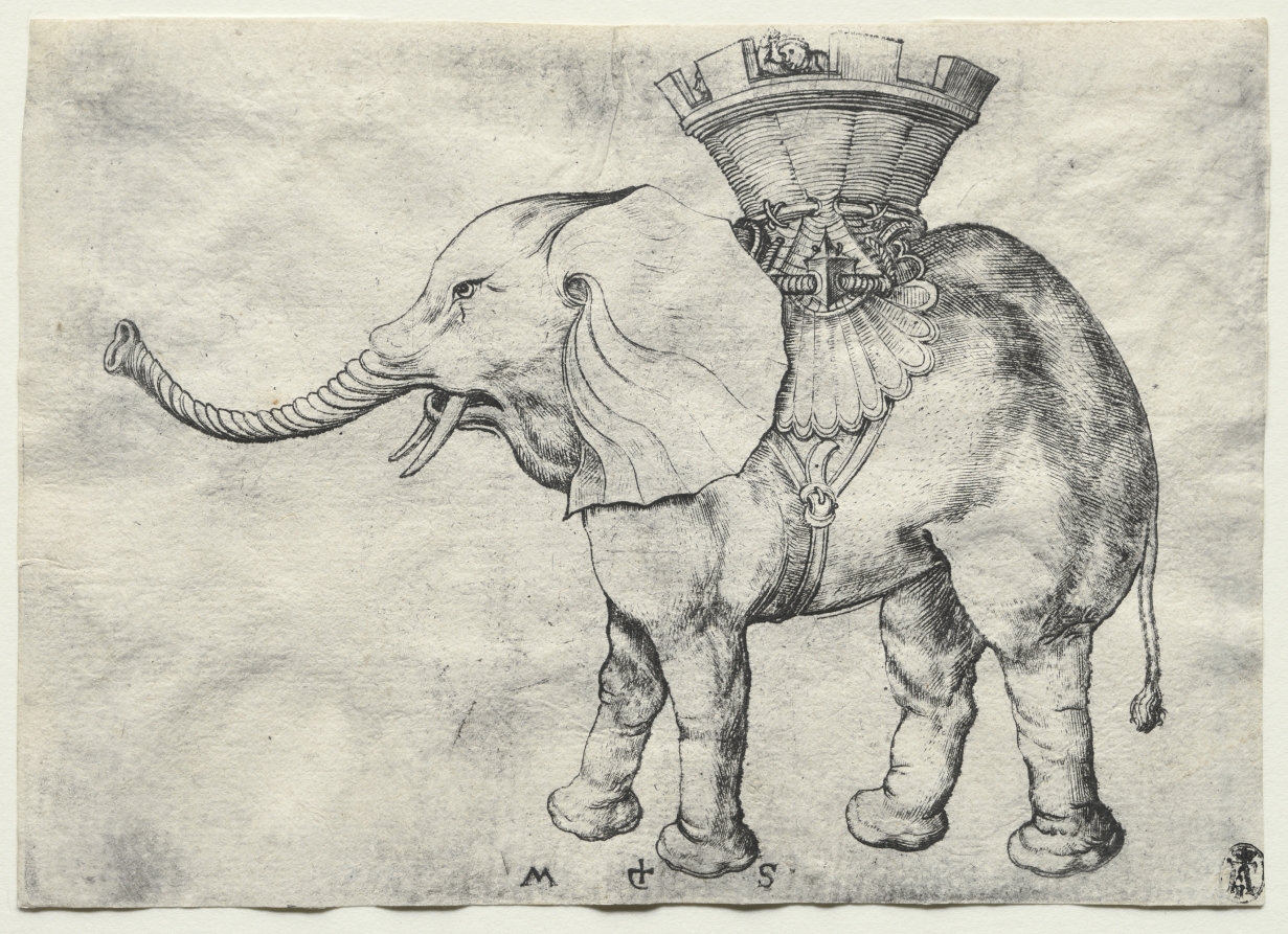 An Elephant with Howdah