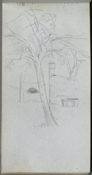 Sketchbook, page 36: Tree Study