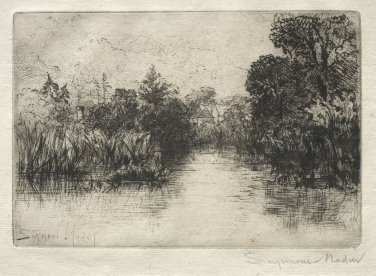 Shere Mill Pond (A Small Study)