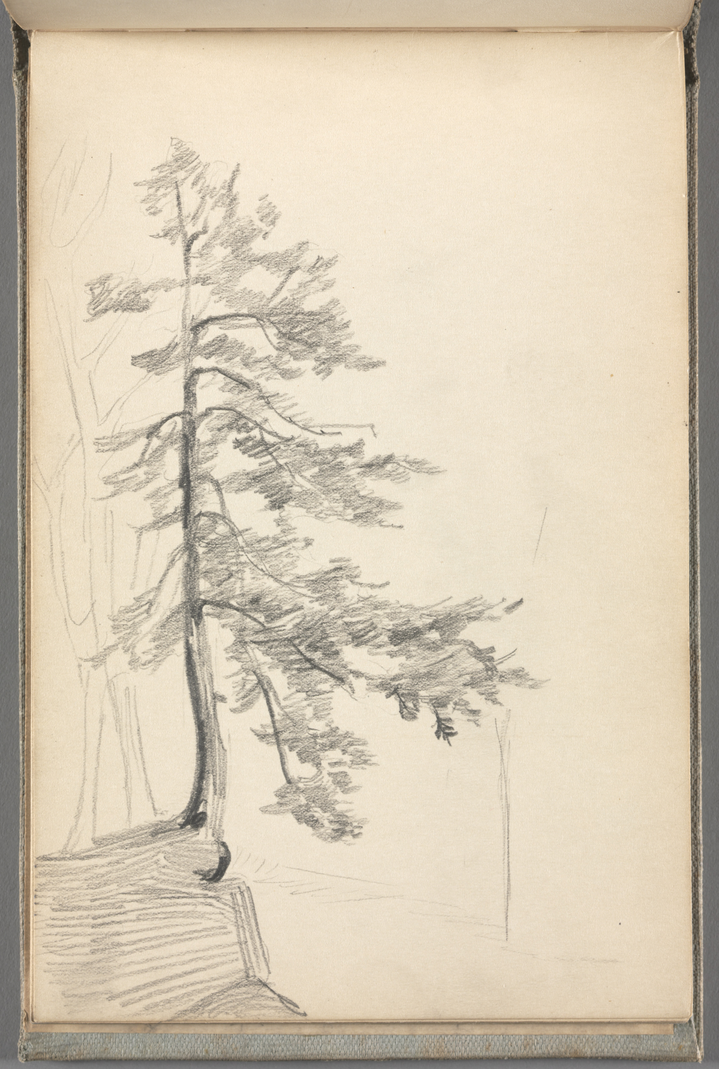 Sketchbook No. 5, page 36: Pencil drawing of a tree