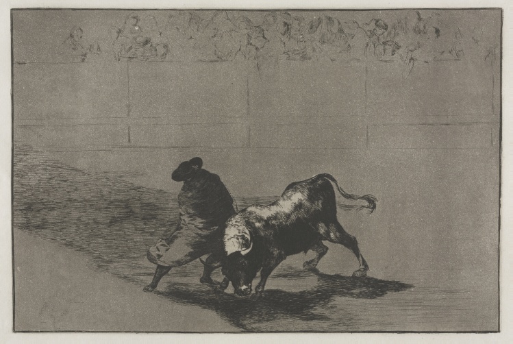 Bullfights:  The Very Skilful Student of Falces, Wrapped in his Cape, Tricks the Bull with the Play of his Body