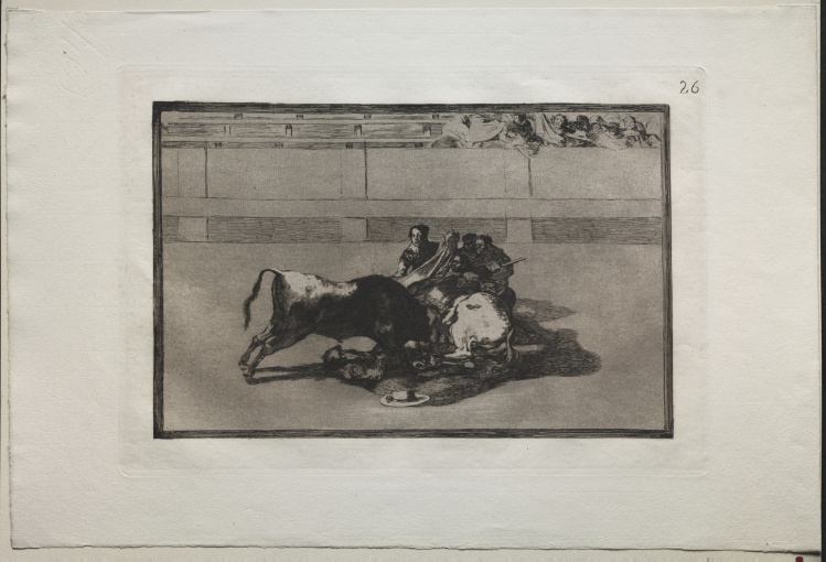 Bullfights:  A Picador is Unhorsed and Falls Under the Bull