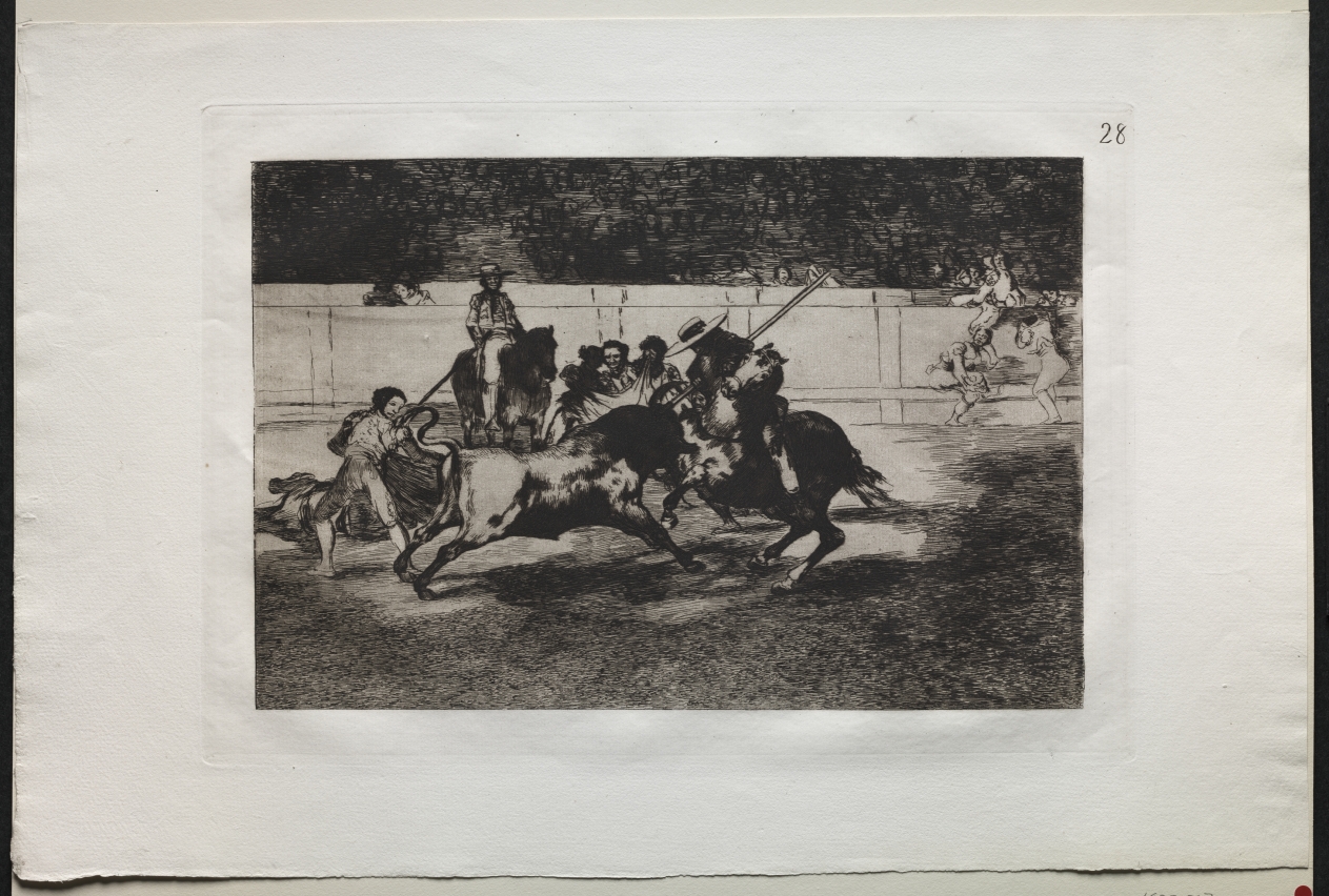 Bullfights:  The Forceful Rendon Stabs a Bull with  the Pique, From Which Pass he died in the Ring at Madrid