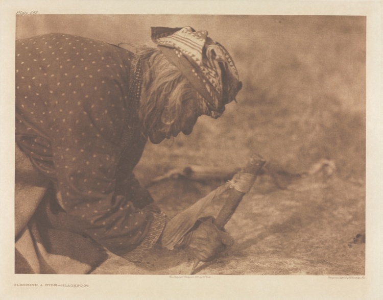 Portfolio XVIII, Plate 643: Fleshing a Hide - Blackfoot
