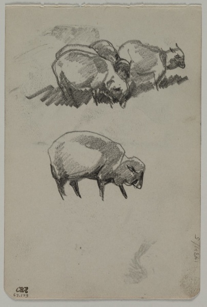 Sketch of Sheep (verso)