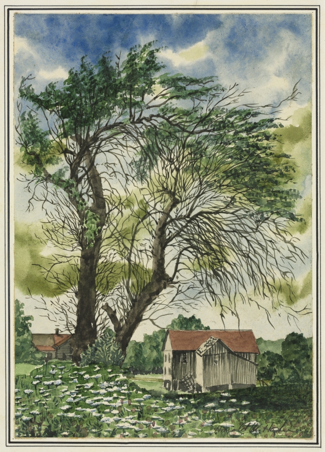 Queen Anne's Lace, Harold Maxwell Hahn, 1947