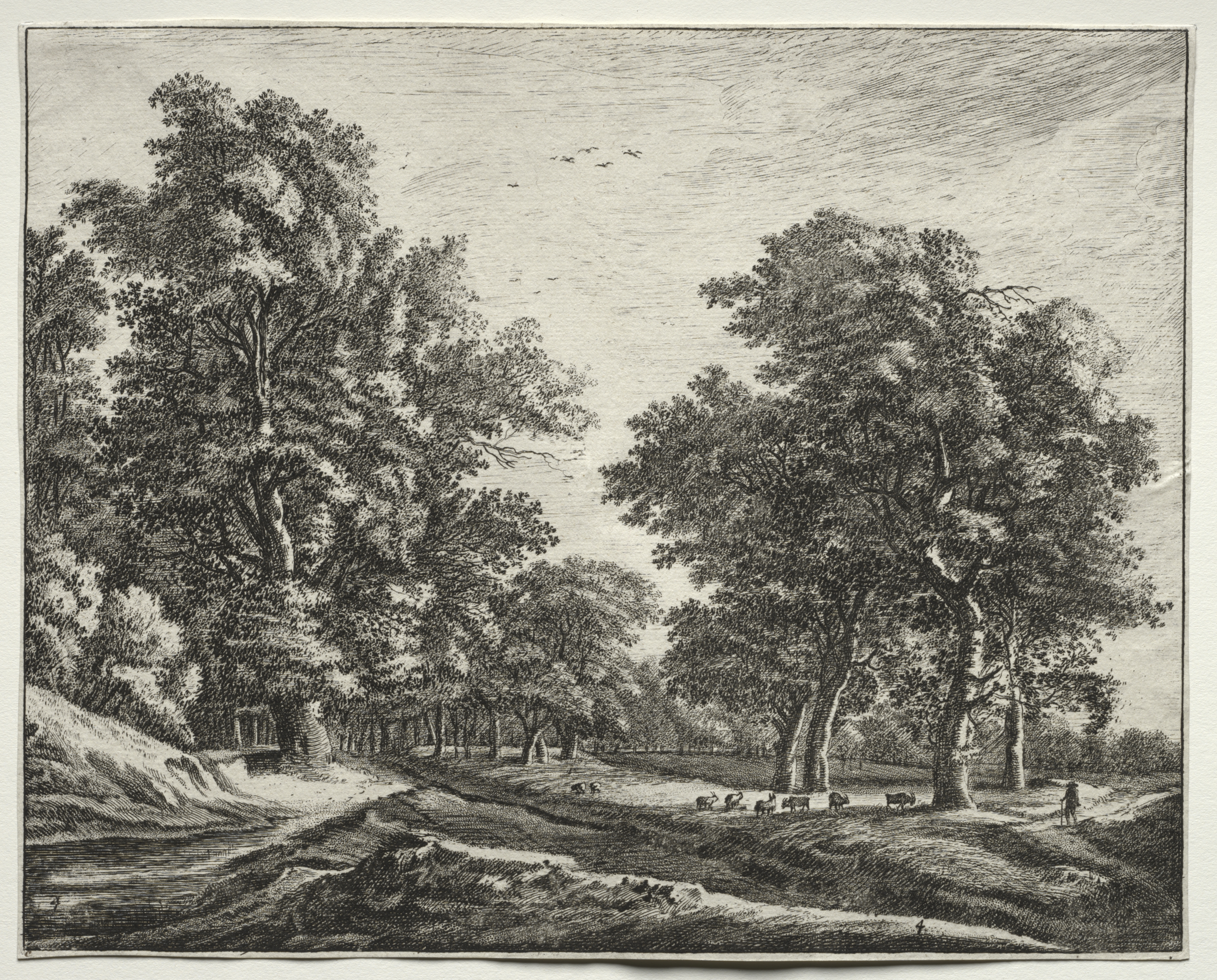 Six views in the Wood of the Hague: Plate 4, Goats Under the Trees