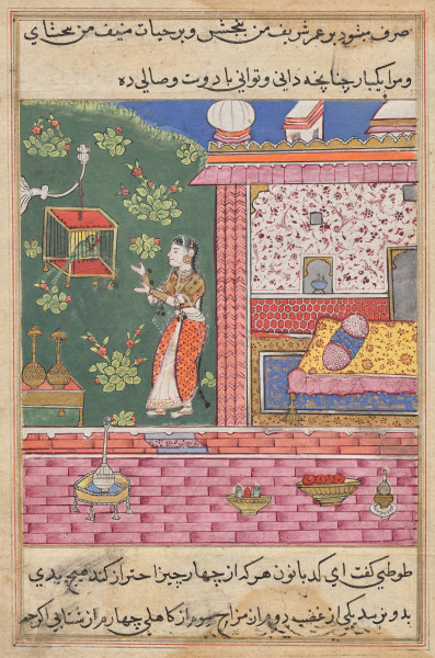 The Parrot Addresses Khujasta at the Beginning of the Thirtieth Night, from a Tuti-nama (Tales of a Parrot)