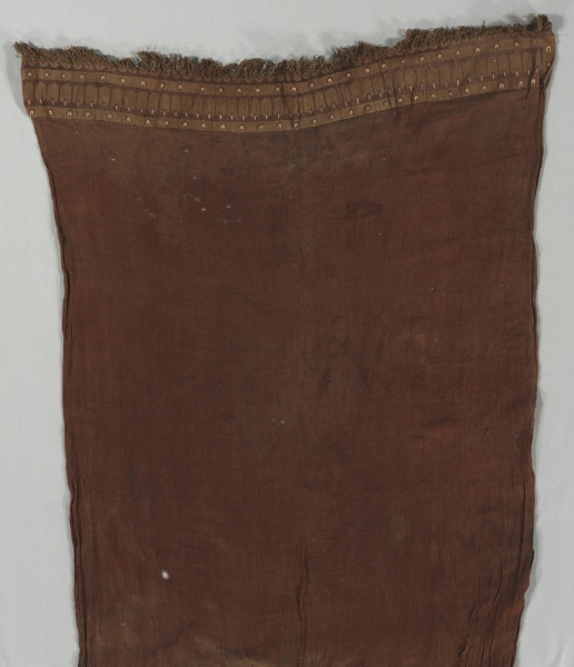 Loincloth with Feather(?) Motifs