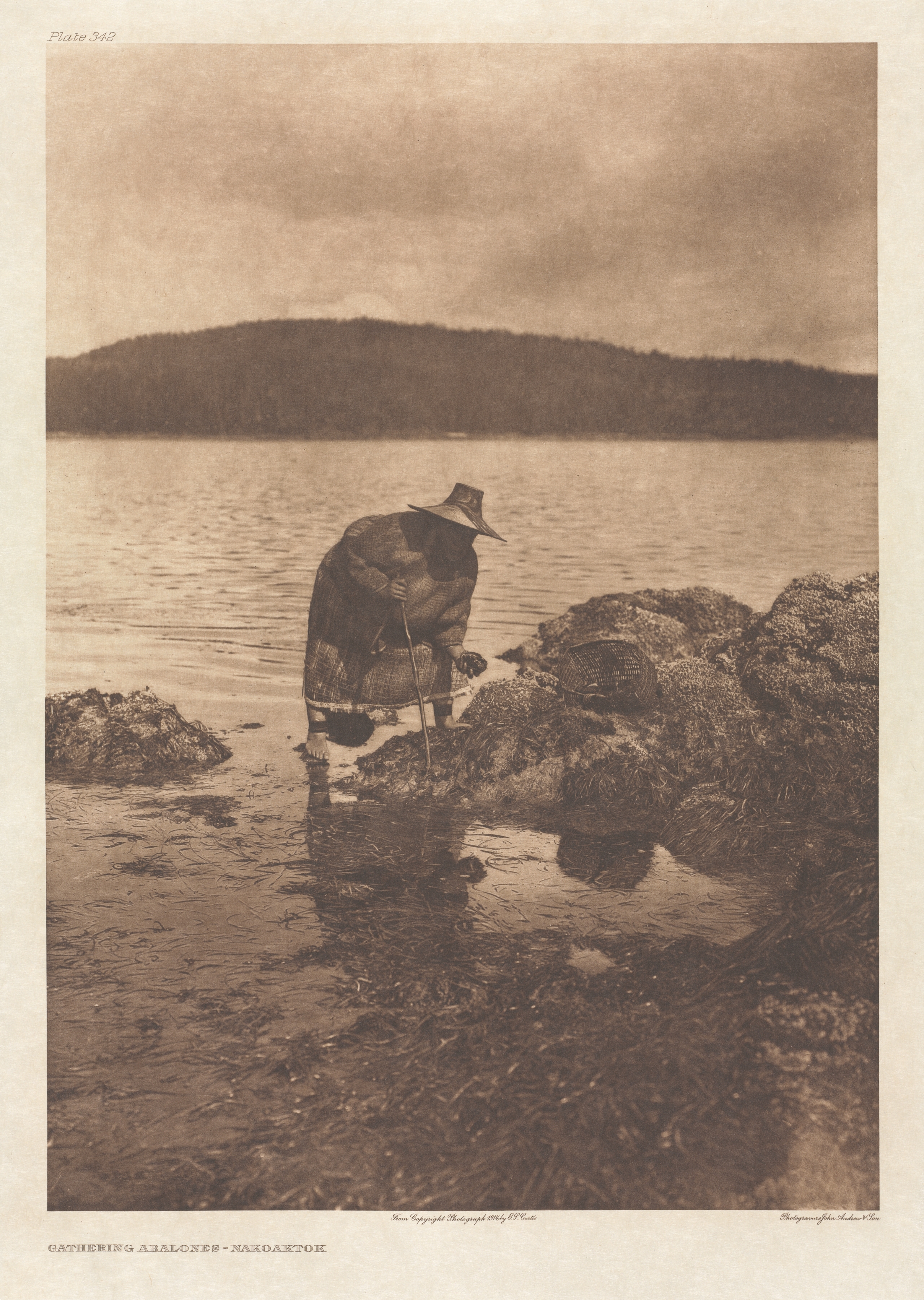 Portfolio X, Plate 342: Gathering Abalones - Nakoaktok