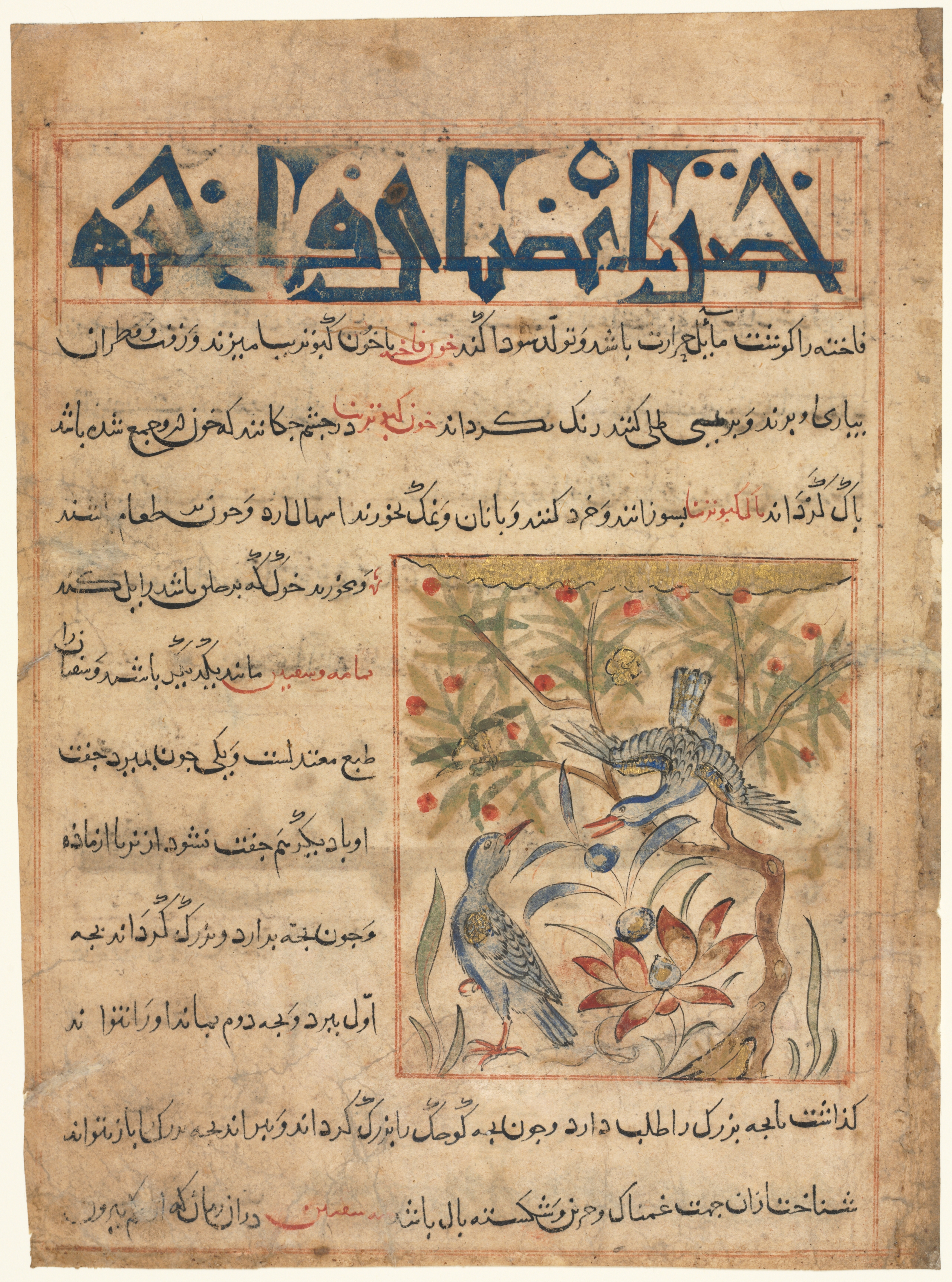 Folio from a Persian Manafi‘ al-Hayawan (The Benefits of Animals) of Abu Said Ubaid-Allah ibn Jibrail ibn Bakhtishu (died 1058–68) (recto)