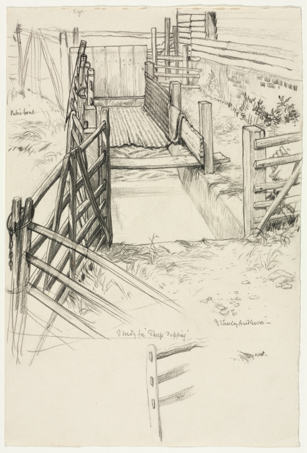 Study for Sheep Dipping, Стенли Андерсон, ок. 1904–1936