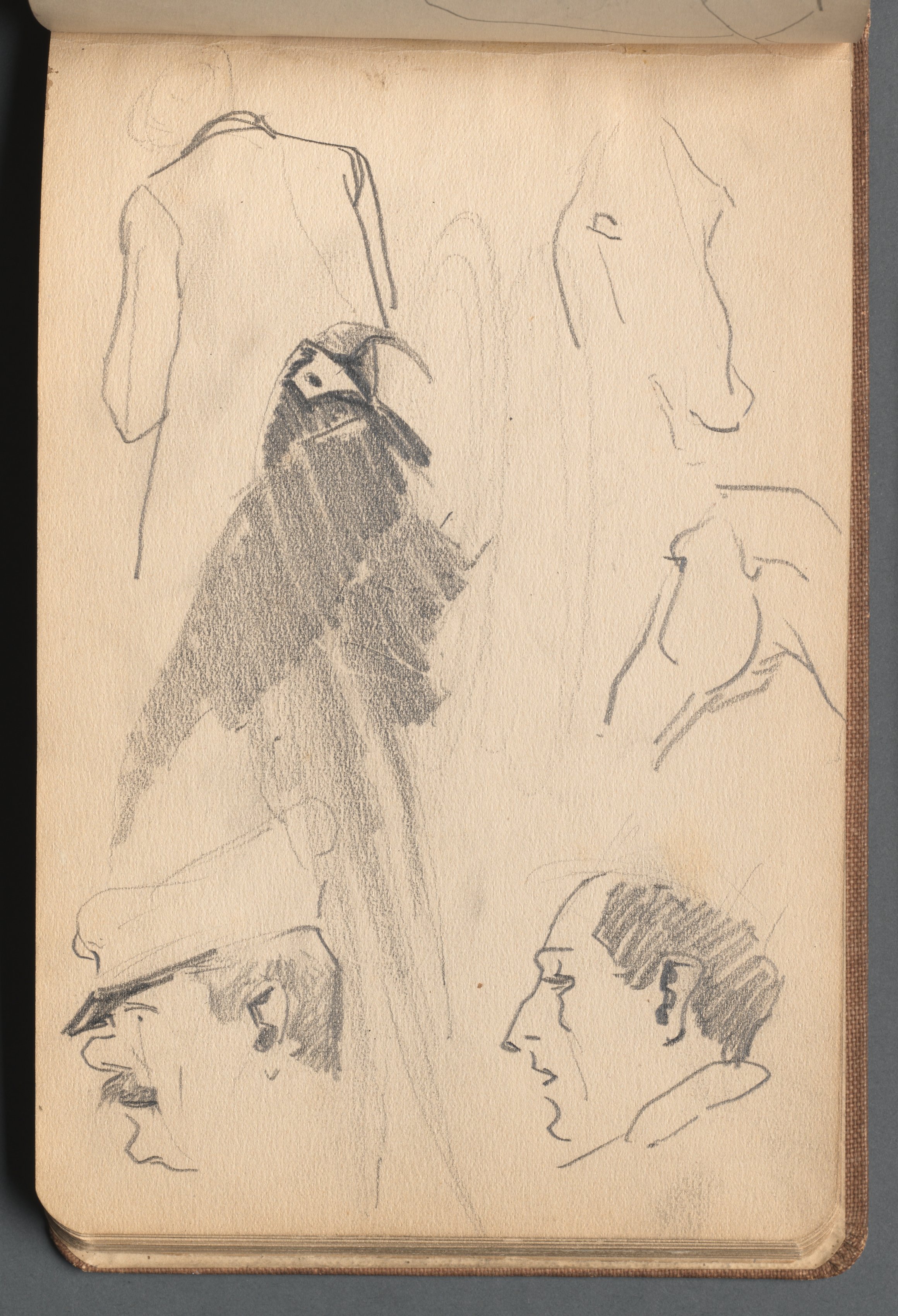 Studies: Male Head, Horses and Parrot (pg 52)