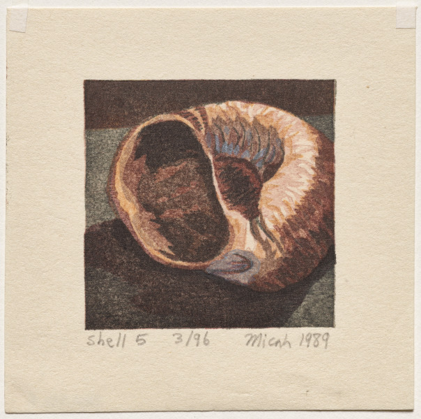 Shell Fragments Book I. A Suite of Five Color Woodblock Prints: Shell 5