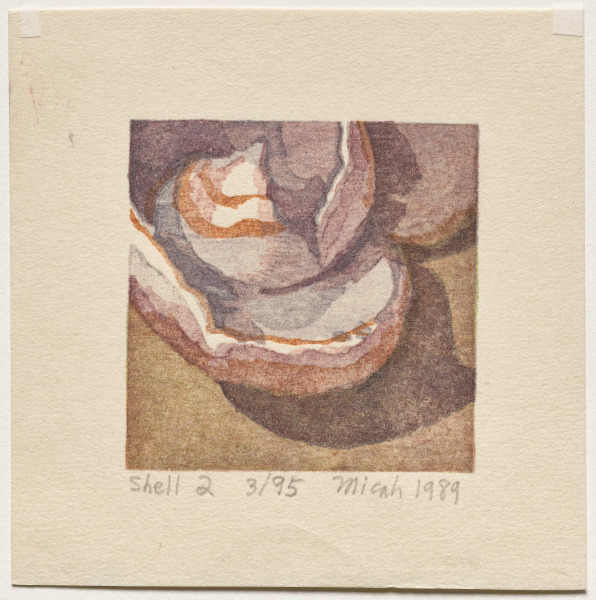 Shell Fragments Book I. A Suite of Five Color Woodblock Prints: Shell 2