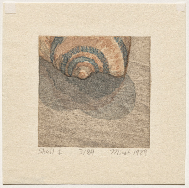 Shell Fragments Book I. A Suite of Five Color Woodblock Prints: Shell 1