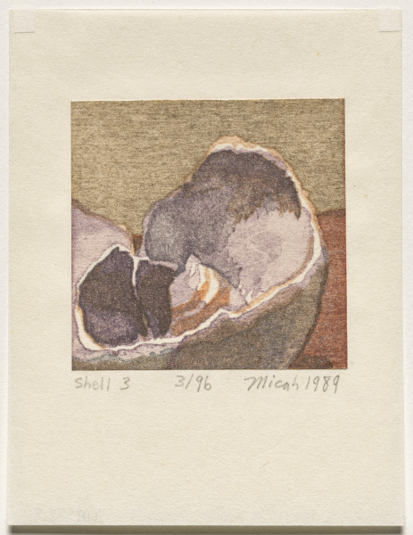 Shell Fragments Book I. A Suite of Five Color Woodblock Prints: Shell 3