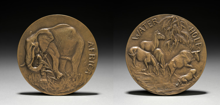 Medal: Africa 