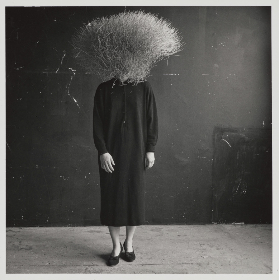 body object series #5 • sagebrush | Cleveland Museum of Art