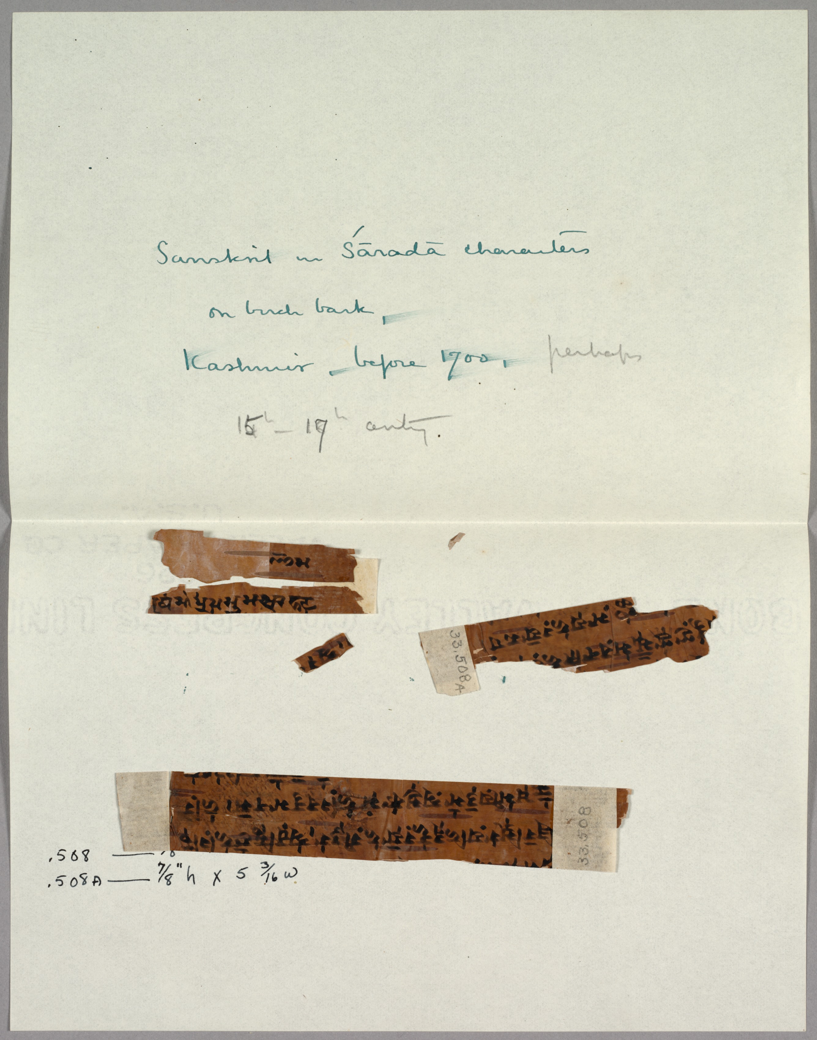 Two Fragments of Bark with Sanskrit