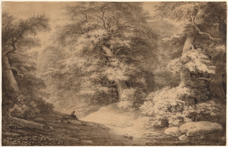 A Beech Wood with a Resting Traveler