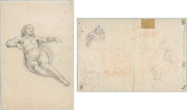 Reclining Female Nude (recto); Various Sketches of Figures and Plants (verso)