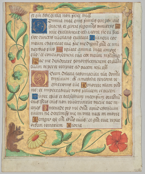 Leaf from a Psalter and Prayerbook: Ornamental Border with Flowers and Squirrel (verso)
