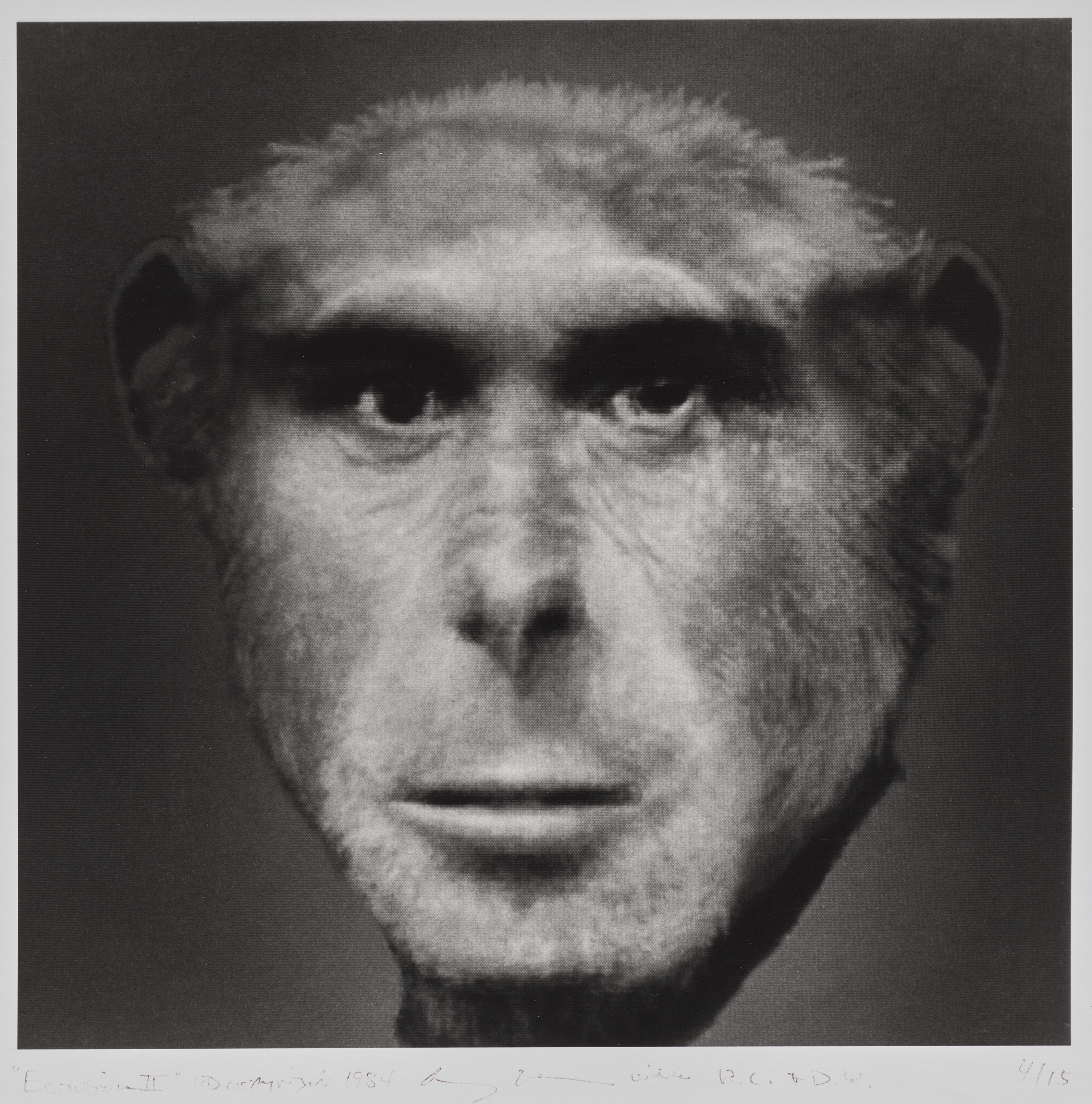 Evolution II (Chimpanzee and Man)