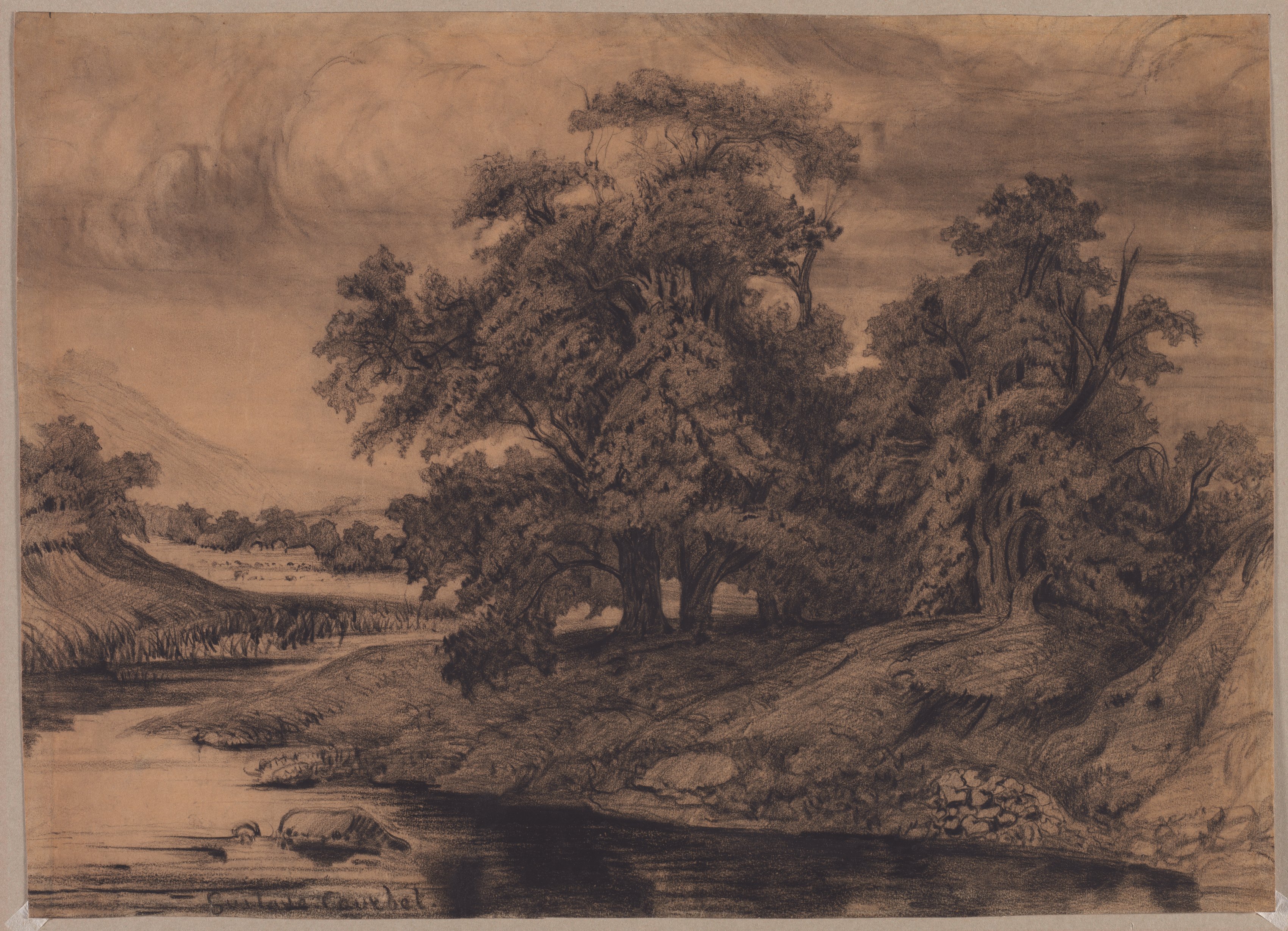 Landscape with Large Trees