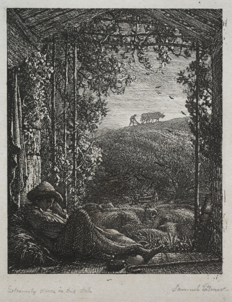 The Sleeping Shepherd