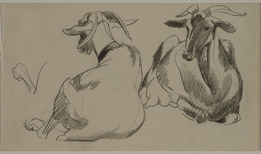 Sketch of Two Goats (recto), Henry Keller, c. 1891–1949