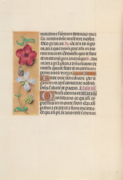 Hours of Queen Isabella the Catholic, Queen of Spain:  Fol. 111v