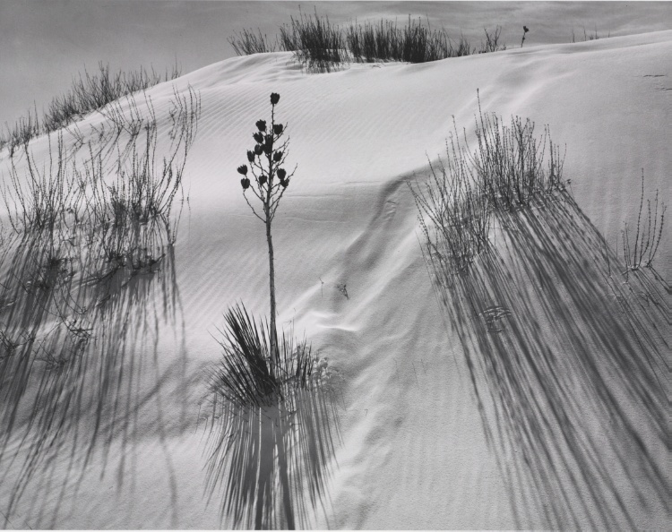Dune, White Sands National Monument, New Mexico