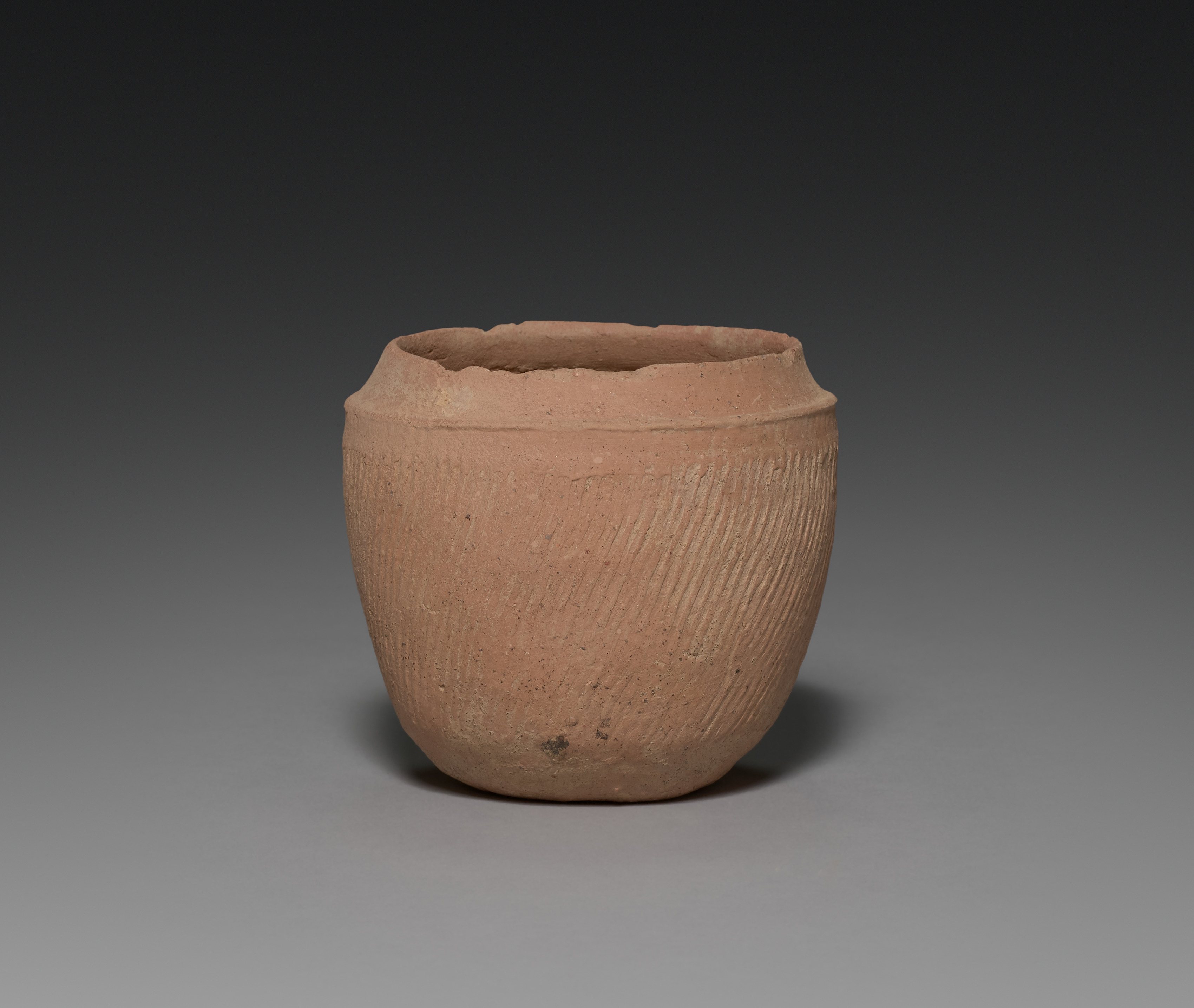 Covered Jar with Horn Handle